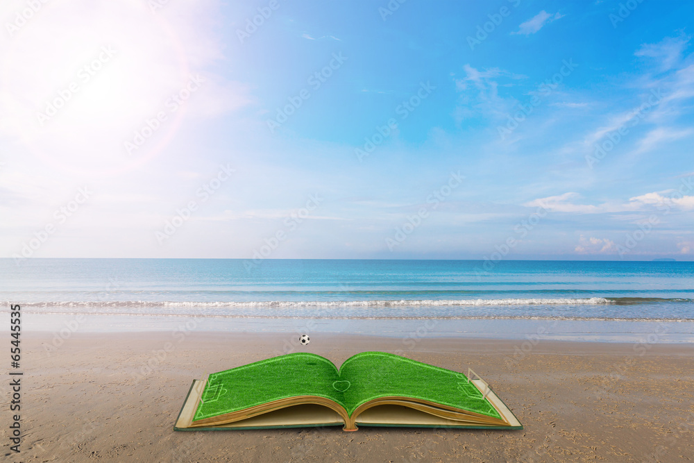 Open green grass book Of soccer stadium with football over sea b Open green grass book Of soccer stadium with football over sea b