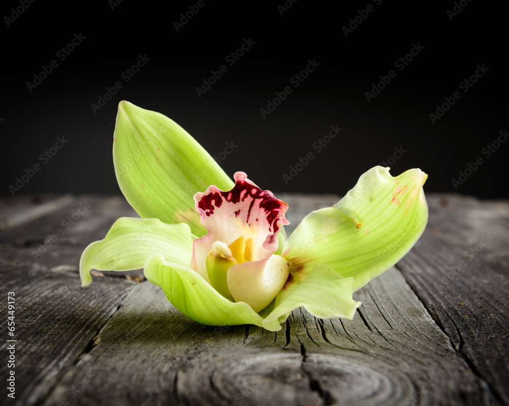 Beautiful flower on old rustic table