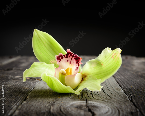 Beautiful flower on old rustic table