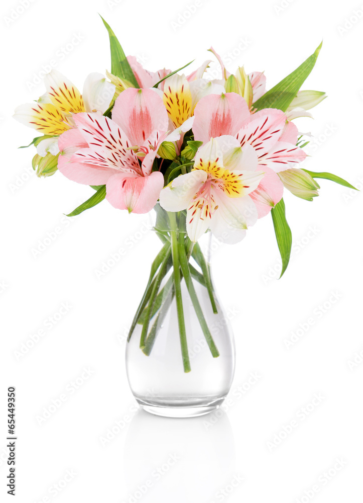 Alstroemeria flowers in vase isolated on white Alstroemeria flowers in vase isolated on white