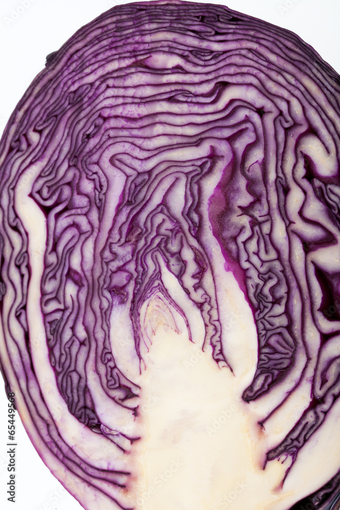 Red Cabbage cross section on White Background Red Cabbage cross section on White Background