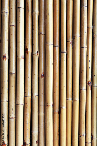 The Wall