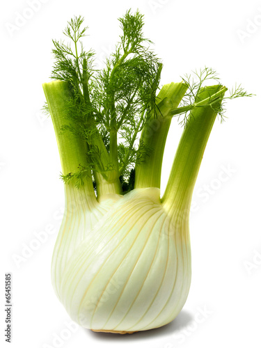 Florence fennel bulb on white