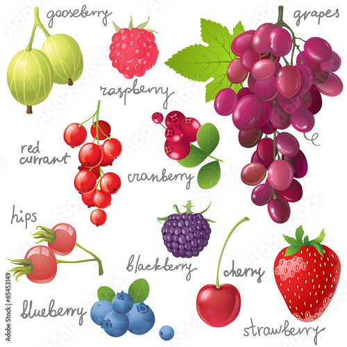berries set