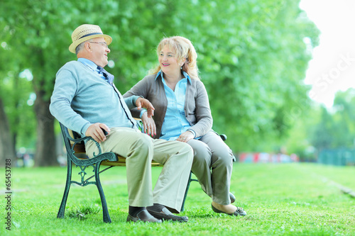 Elderly couple relaxing on a bench in park © Ljupco Smokovski