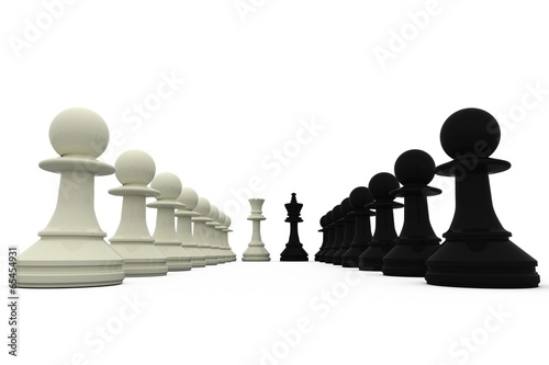 Black and white king standing with pawns