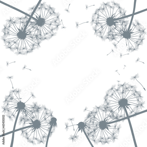 background vector dandelion