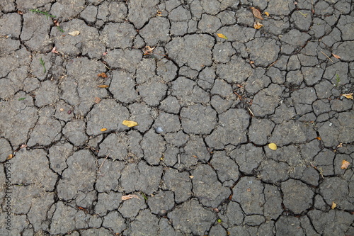 Cracked soil ground into the dry season