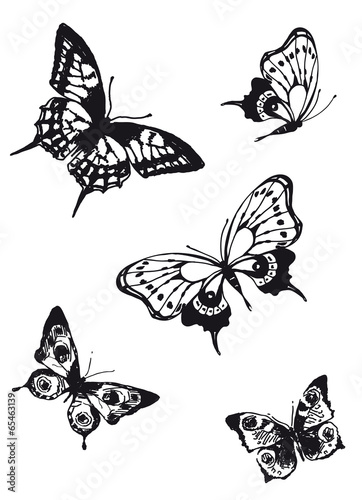 butterflies design
