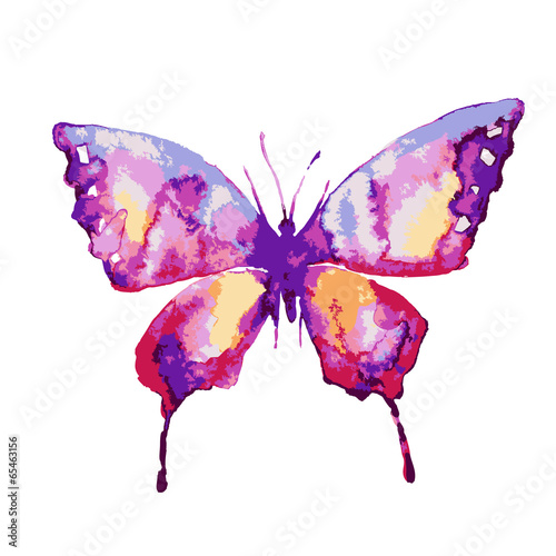 butterflies design © aboard