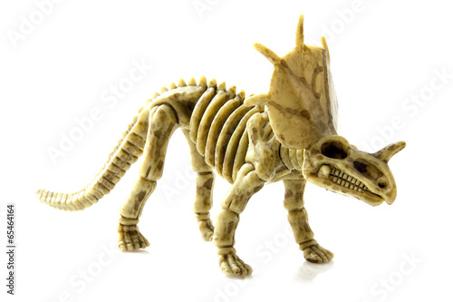Fototapeta Naklejka Na Ścianę i Meble -  Protoceratops