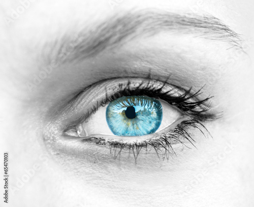 Beautiful blue woman eye