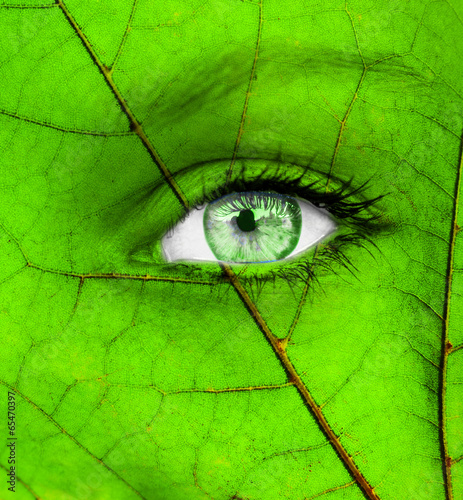 Ecology conceptual image with green human eye