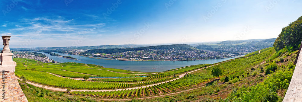 Blick über spätsommerliche Weinberge im Rheingau bei Rüdesheim