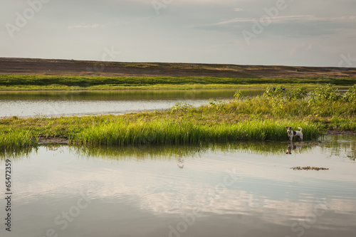 Landscape of central Russia, Ahtuba photo