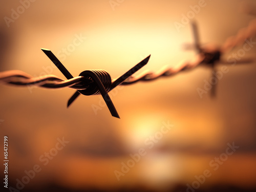 Barbed wire with Depth Of Field