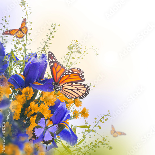 Fototapeta Naklejka Na Ścianę i Meble -  Blue irises with yellow daisies, floral background.