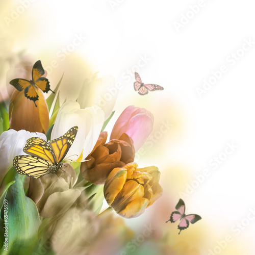 Fototapeta Naklejka Na Ścianę i Meble -  Red tulips with green grass and butterfly.