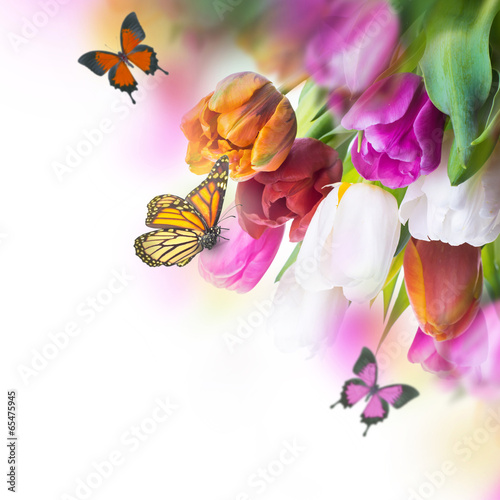 Fototapeta Naklejka Na Ścianę i Meble -  Red tulips with green grass and butterfly.