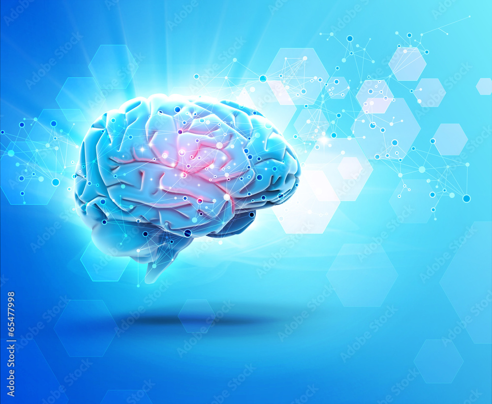 brain brain