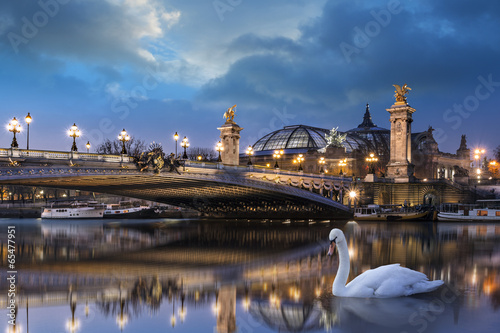 Pont Alexandre III et Grand Palais © PUNTOSTUDIOFOTO Lda