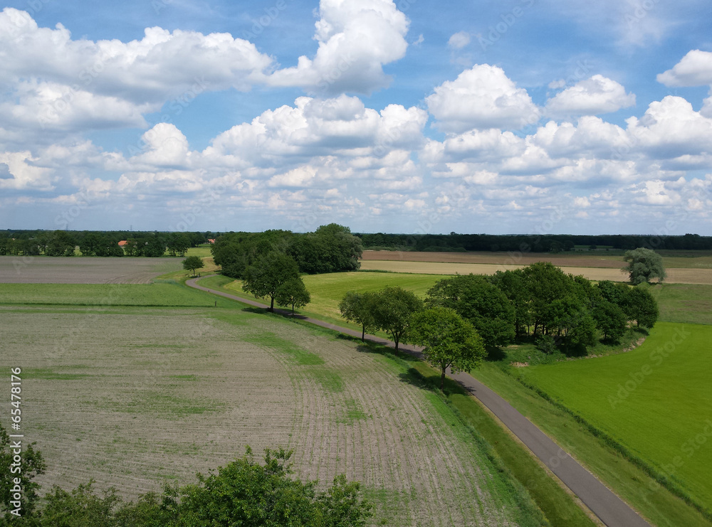 typical dutch landscape typical dutch landscape
