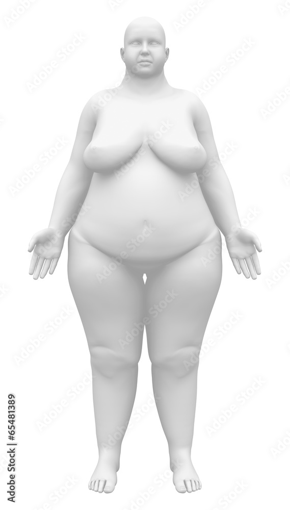 Obese Anatomy Female Figure - Front view Obese Anatomy Female Figure - Front view