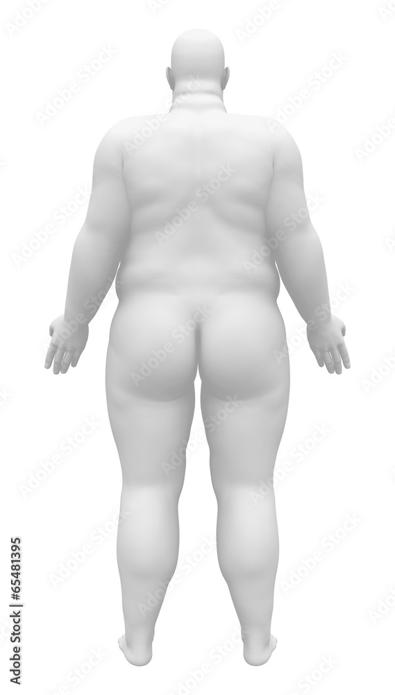 Obese Anatomy Male Figure - Back view Obese Anatomy Male Figure - Back view