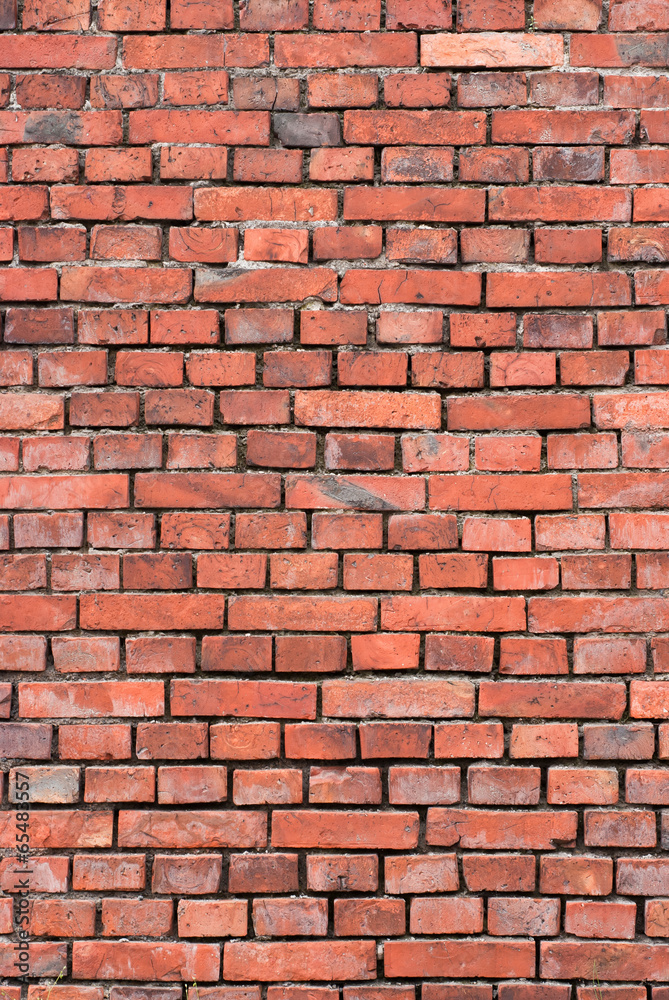 Obraz premium Brick Wall - Background