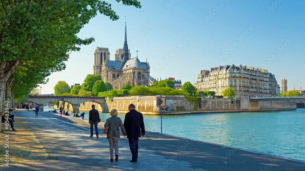 Naklejka premium Notre Dame Paris