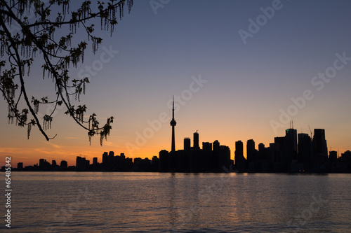 Toronto Sunset Silhouette with part of a tree on the left and co