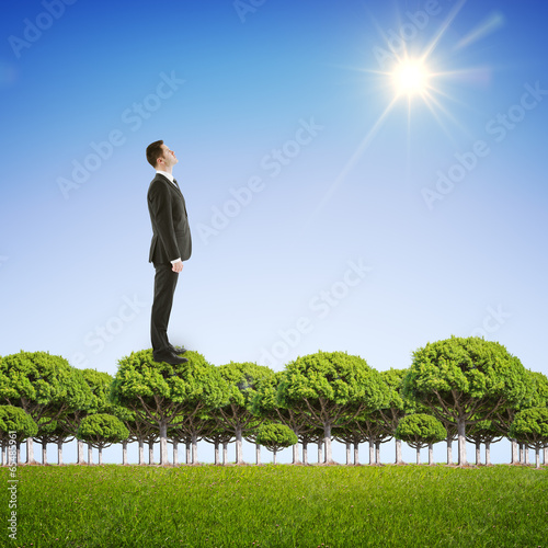 businessman standing on trees