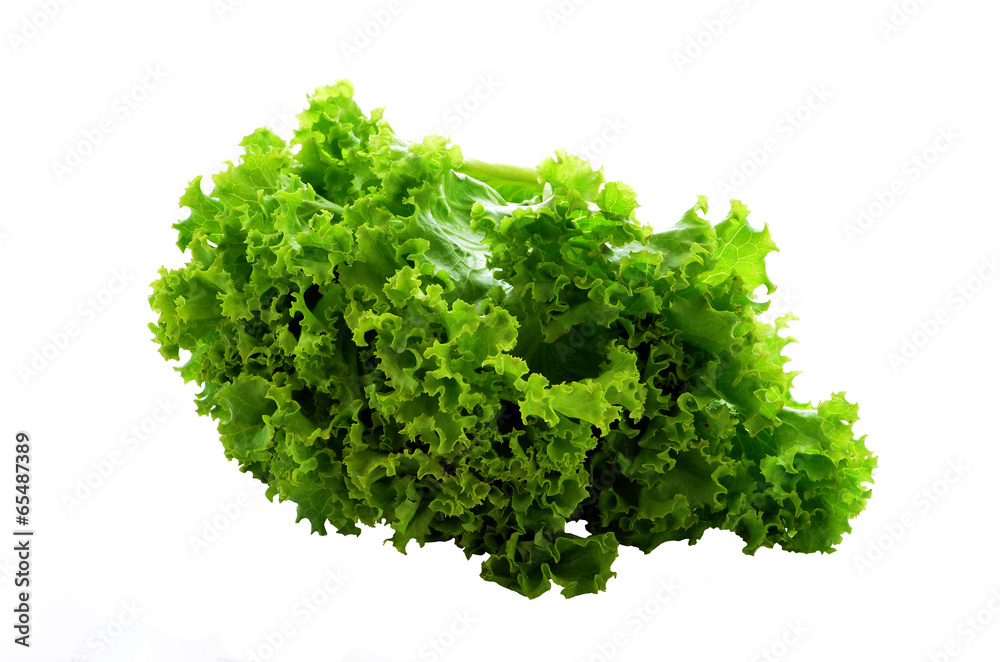 fresh green lettuce leaves isolated on white fresh green lettuce leaves isolated on white