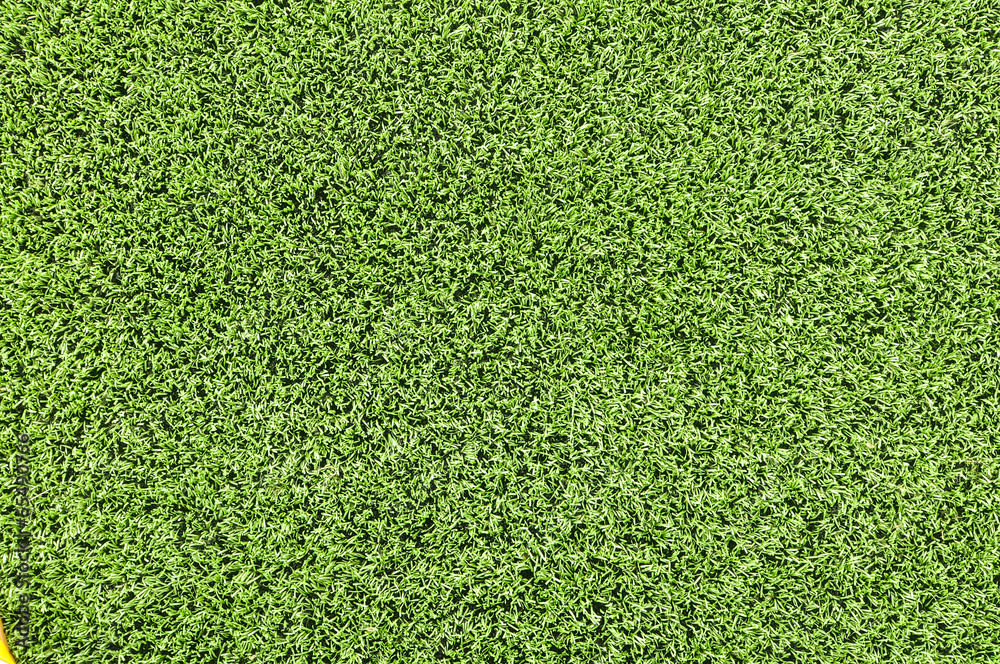Obraz premium Green grass background texture.