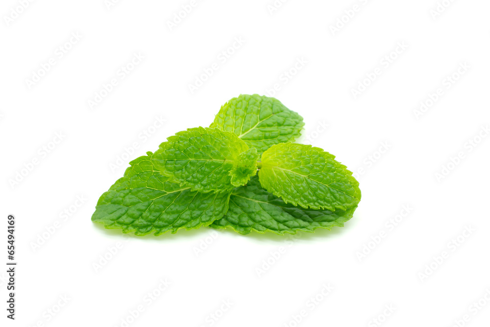 Fresh mint close up on white Fresh mint close up on white