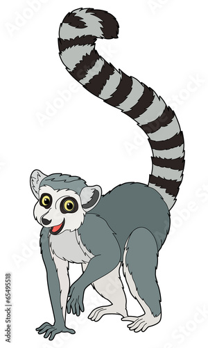 Cartoon animal - lemur - flat coloring style