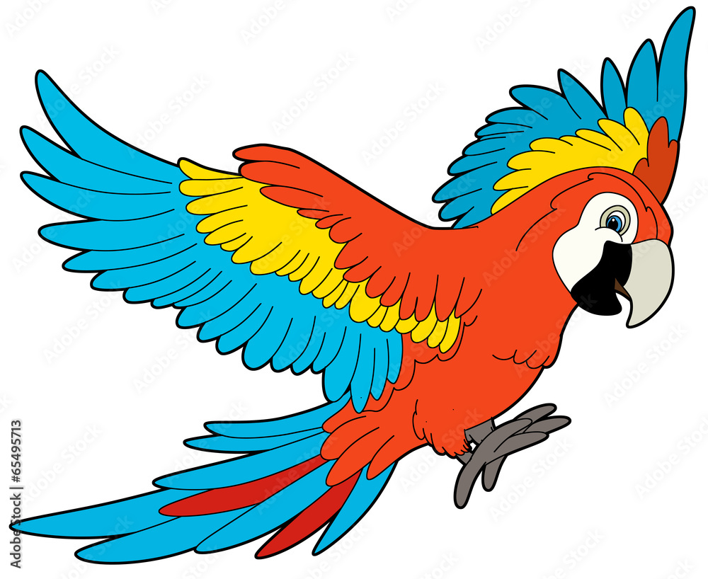 Cartoon animal - parrot - flat coloring style