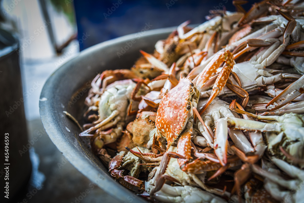 Lots of steamed blue crabs Lots of steamed blue crabs