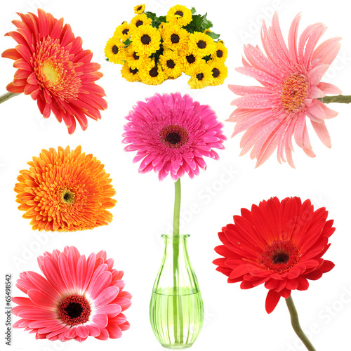 Fototapeta Naklejka Na Ścianę i Meble -  Collage of beautiful gerbera isolated on white
