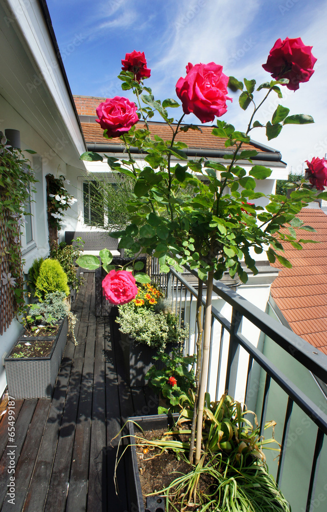 Beautiful terrace with a lot of flowers