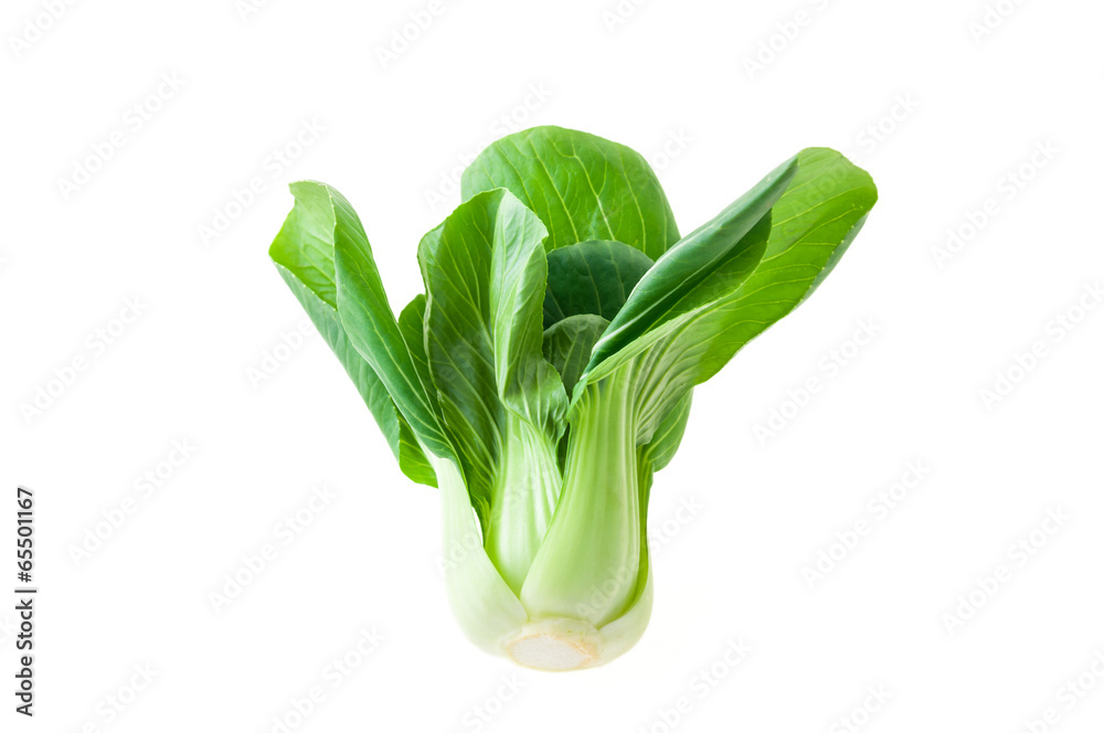 bok choy (chinese cabbage) isolated on white background - obrazy, fototapety, plakaty 