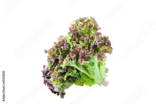 red lettuce leaves isolated on white background