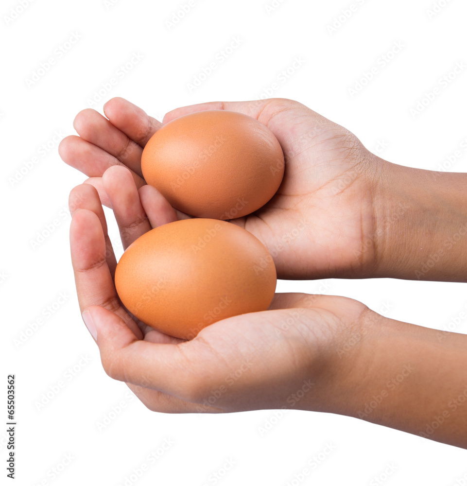 Young girl hand holding chicken eggs Young girl hand holding chicken eggs