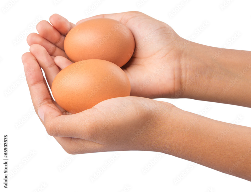 Young girl hand holding chicken eggs Young girl hand holding chicken eggs