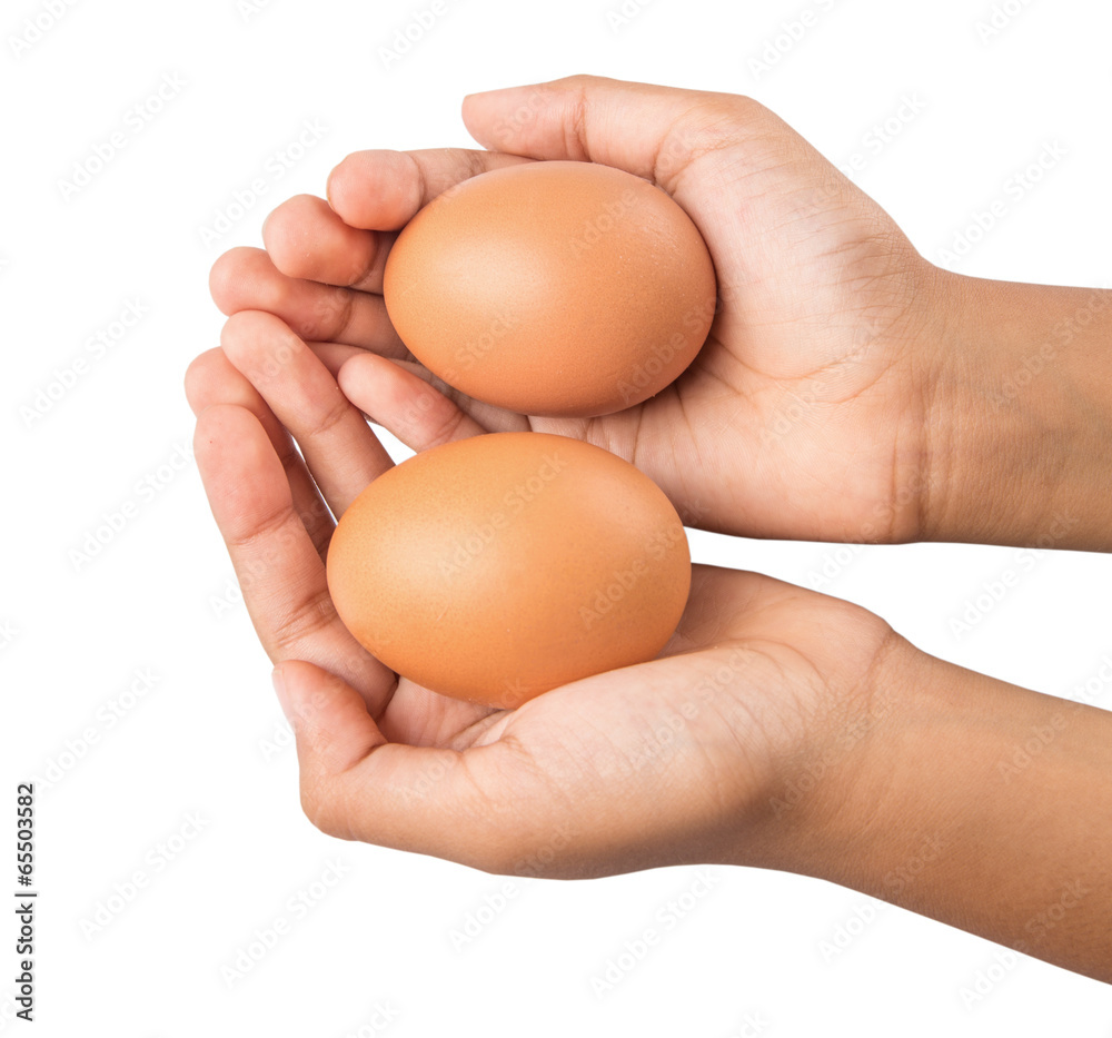Young girl hand holding chicken eggs Young girl hand holding chicken eggs