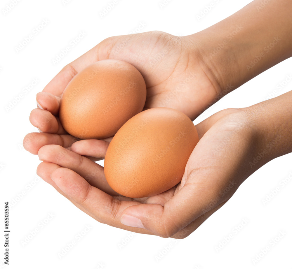 Young girl hand holding chicken eggs Young girl hand holding chicken eggs
