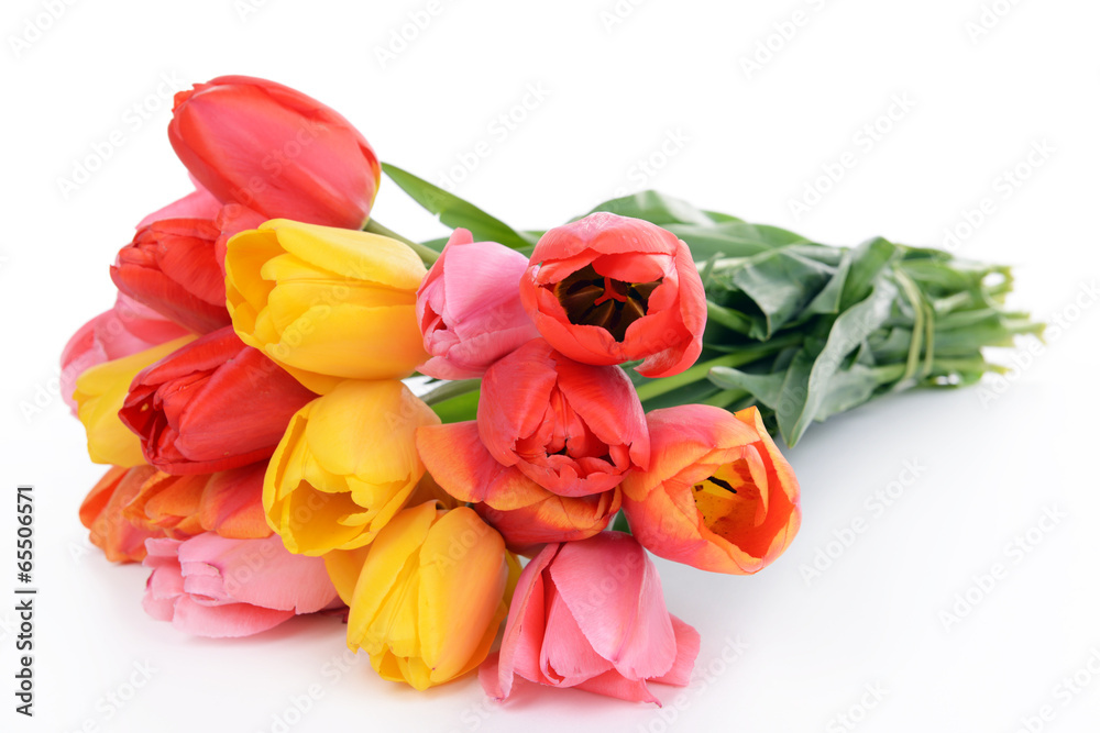 Beautiful tulips in bucket isolated on white Beautiful tulips in bucket isolated on white