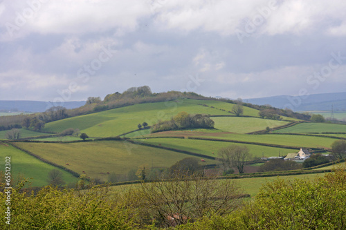 Devon countryside