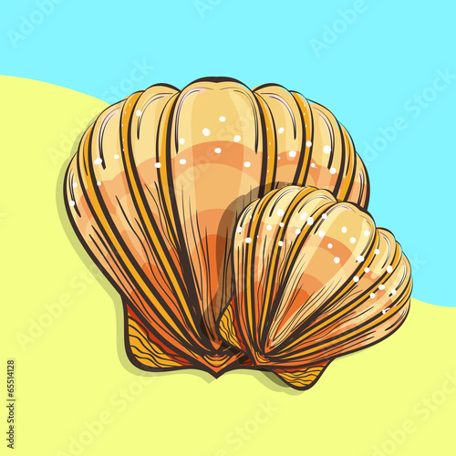 scallop seashell