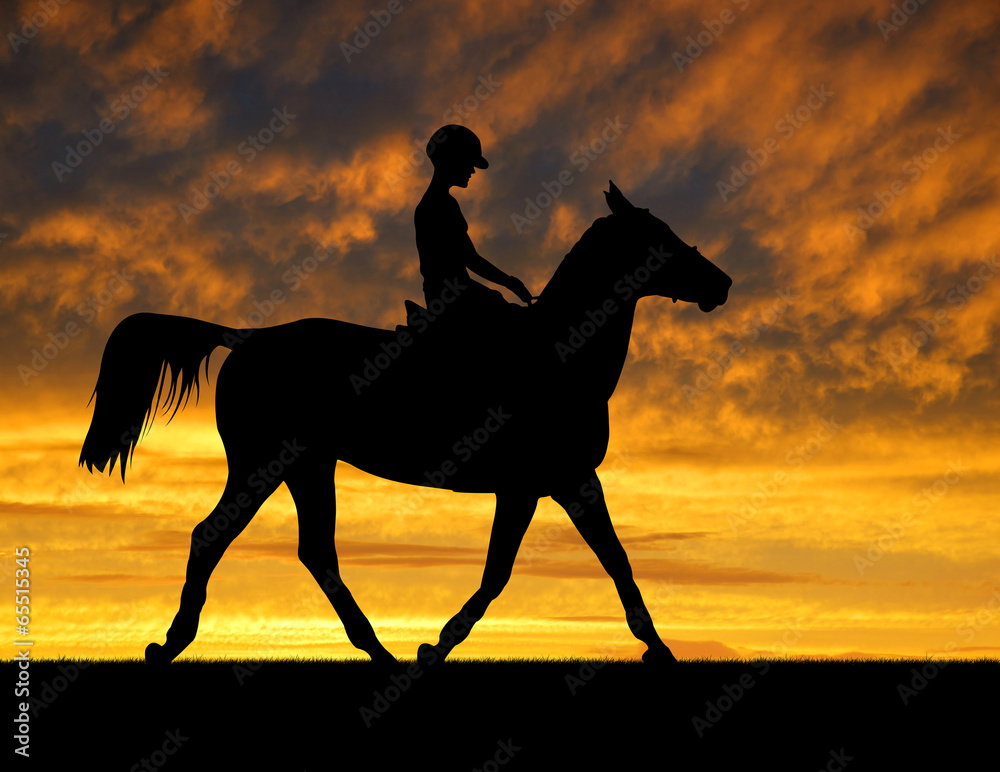 silhouette of a rider on a horse